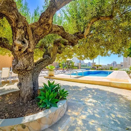 Puchero - Plusholidays