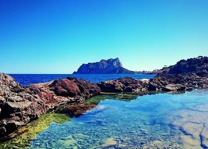 Puchero - Plusholidays *